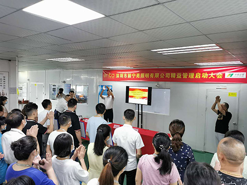 深圳市毅寧亮照明 精益管理咨詢項目