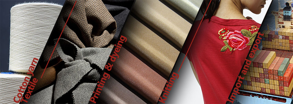 浙江恒寧控股集團 新星工廠建設項目咨詢