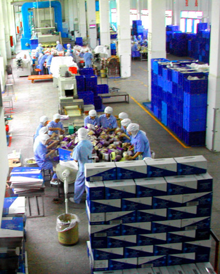 實驗室推行6S管理的內(nèi)容